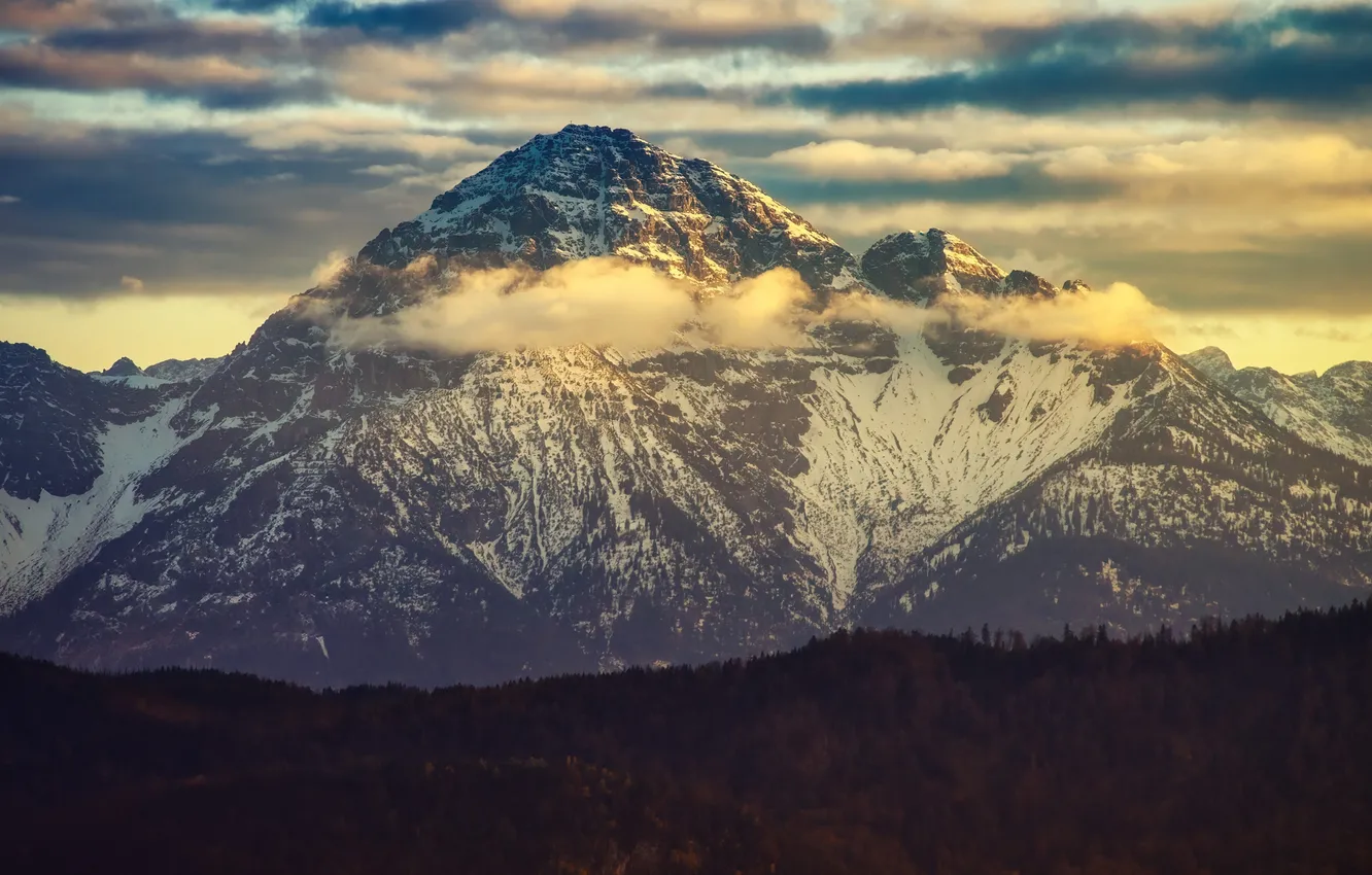 Photo wallpaper forest, clouds, snow, mountains, nature, fog, tops, morning