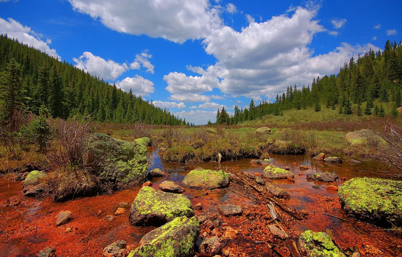 Photo wallpaper clouds, stones, swamp