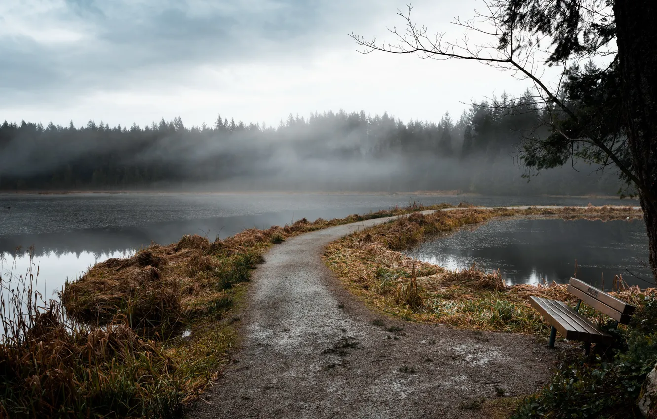 Photo wallpaper fog, lake, bench
