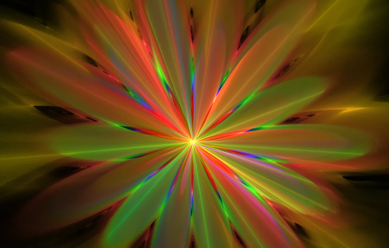 Photo wallpaper rays, light, line, flowers, petals