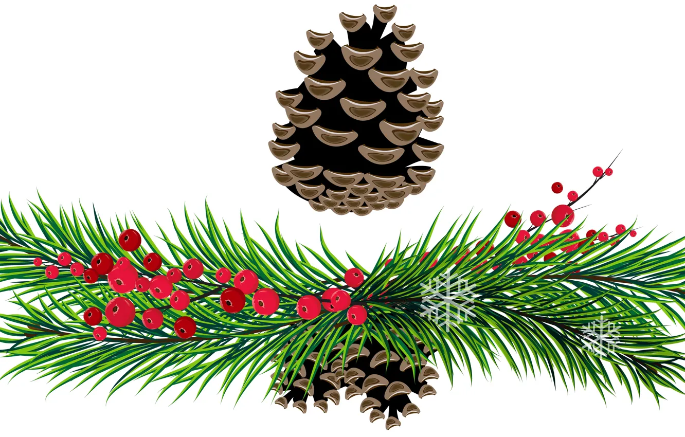 Photo wallpaper bumps, vector graphics, spruce branches