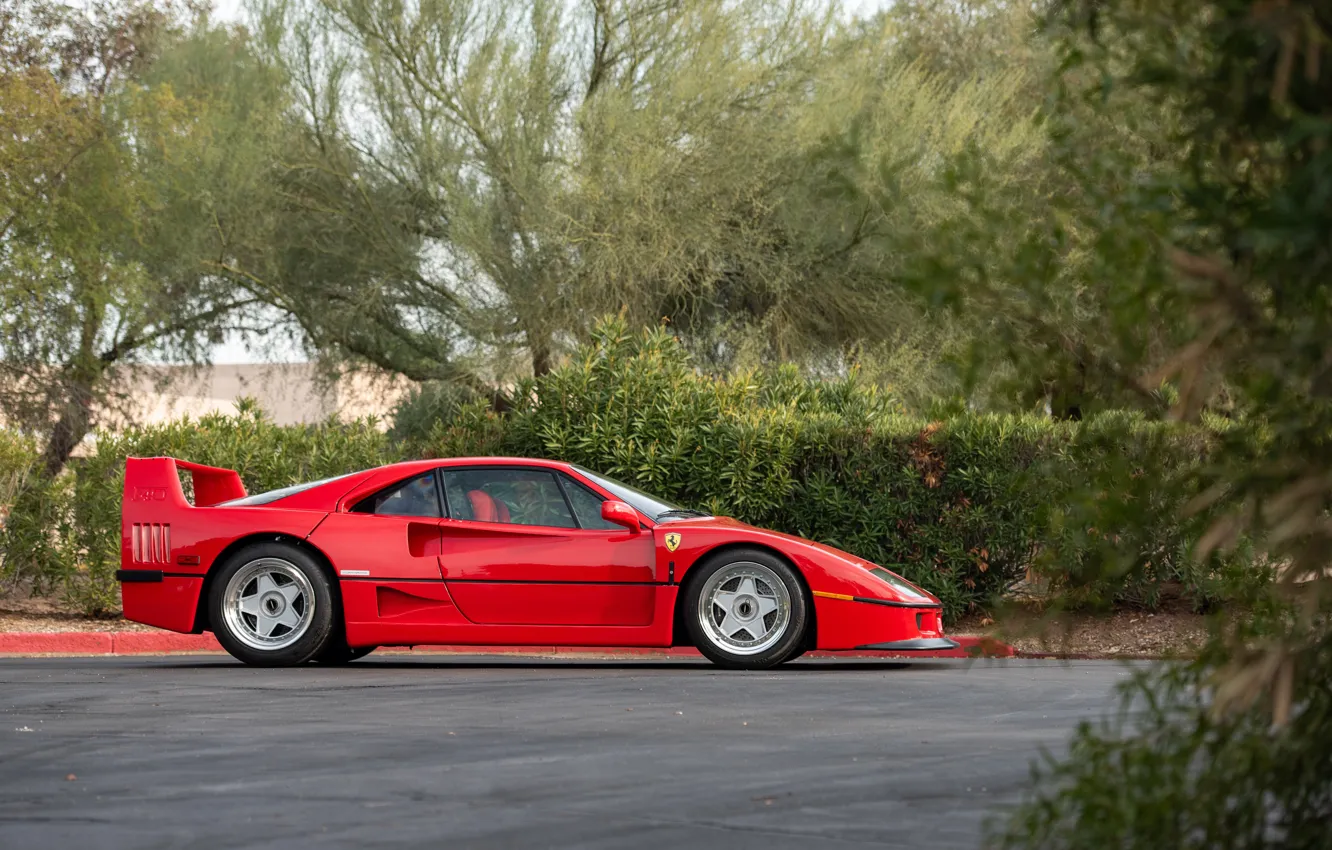 Photo wallpaper Ferrari, F40, 1990, Ferrari F40