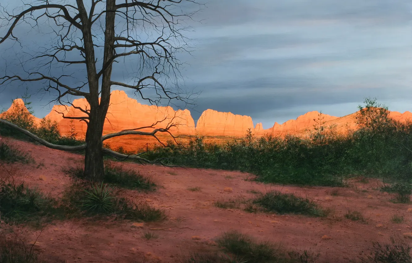 Photo wallpaper landscape, nature, picture, Alexander Volkov, Sunset in Sedona