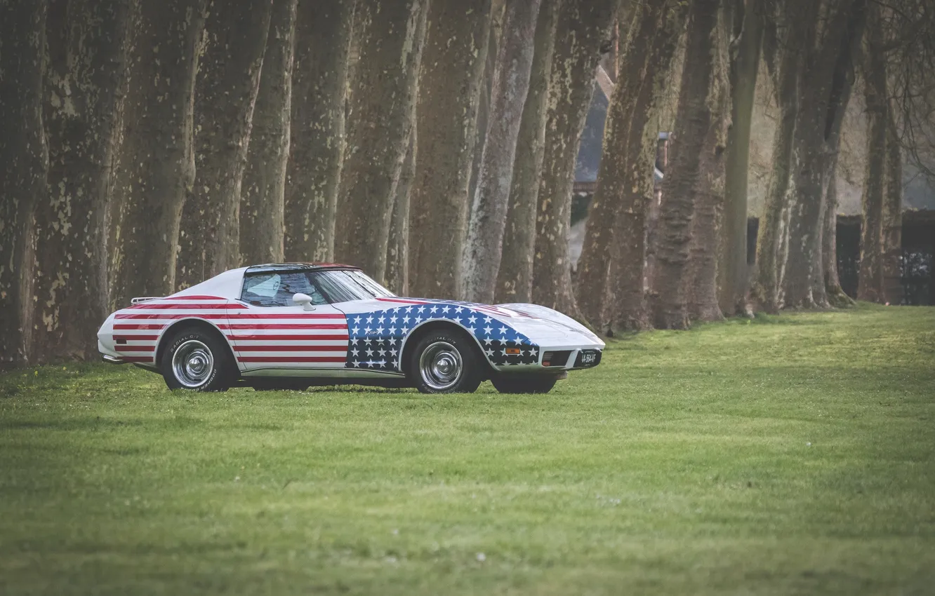 Photo wallpaper grass, Chevrolet, classic, Corvette C3