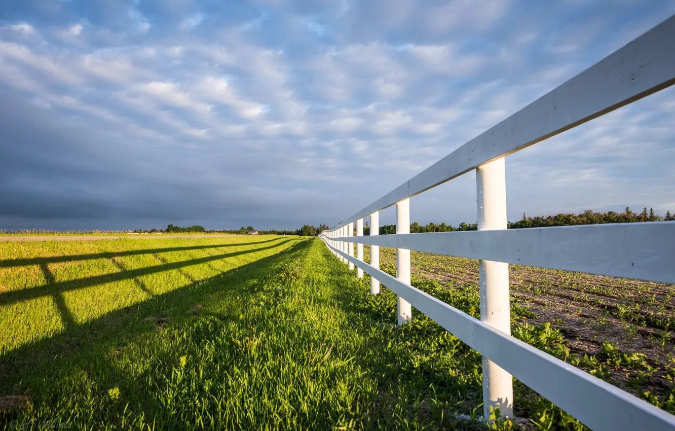 Photo wallpaper field, the fence, Jeff Wallace