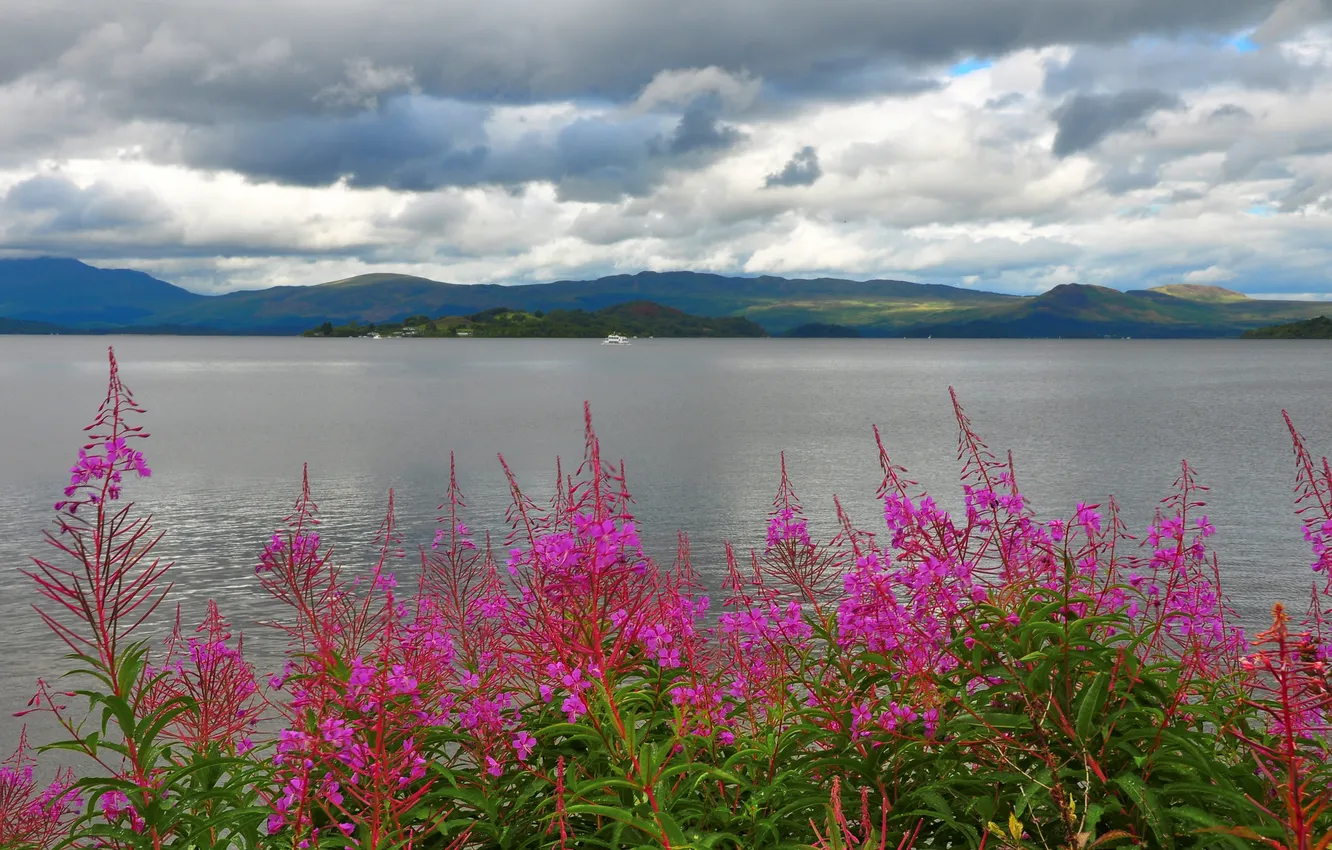 Photo wallpaper the sky, flowers, mountains, clouds, lake