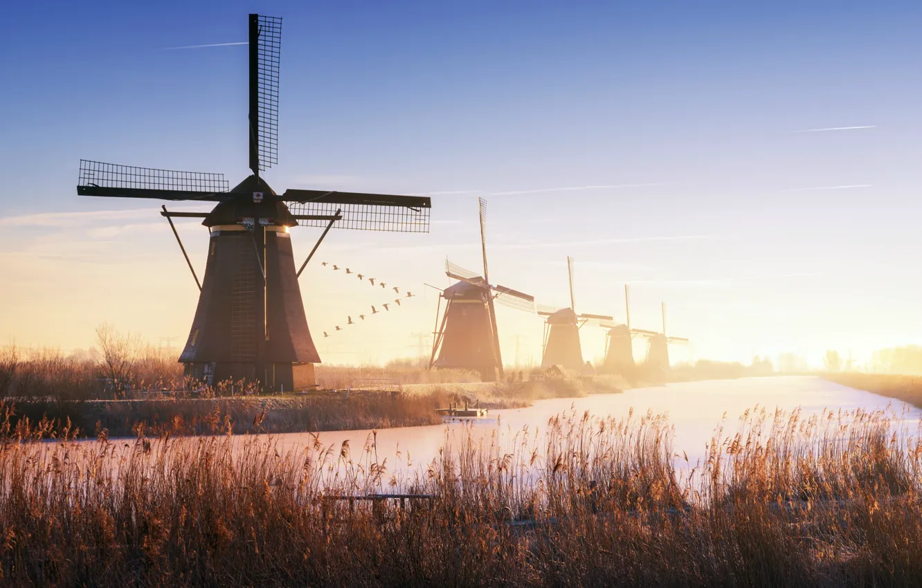 Photo wallpaper mill, Netherlands, Holland, Kinderdijk