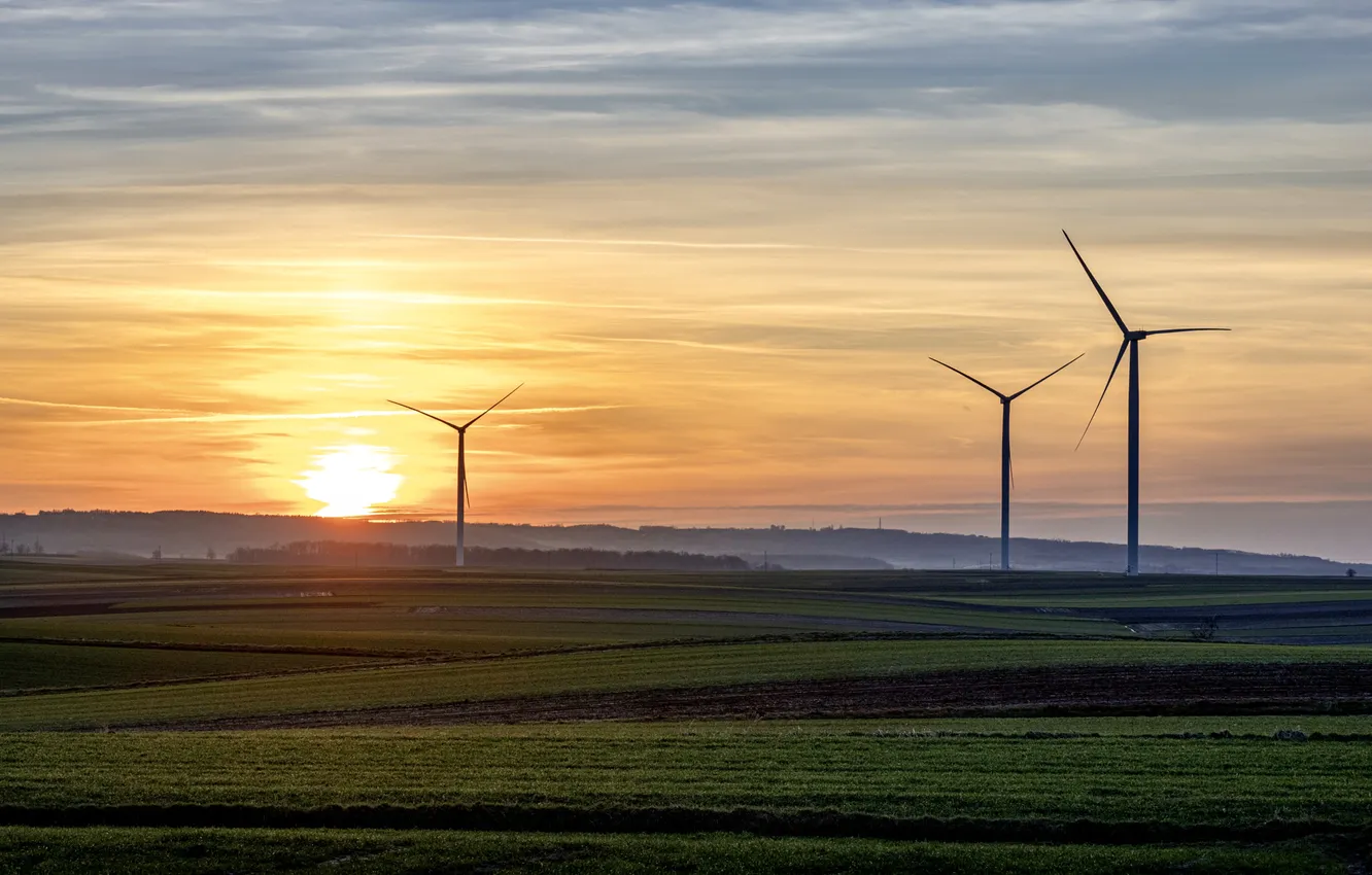 Photo wallpaper field, the sun, dawn, windmills