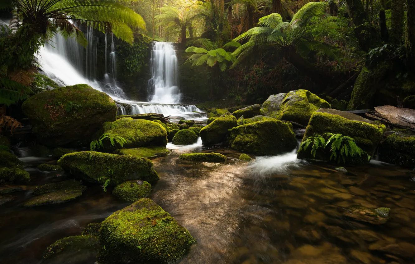 Photo wallpaper nature, river, stones, waterfall, jungle, Tasmania