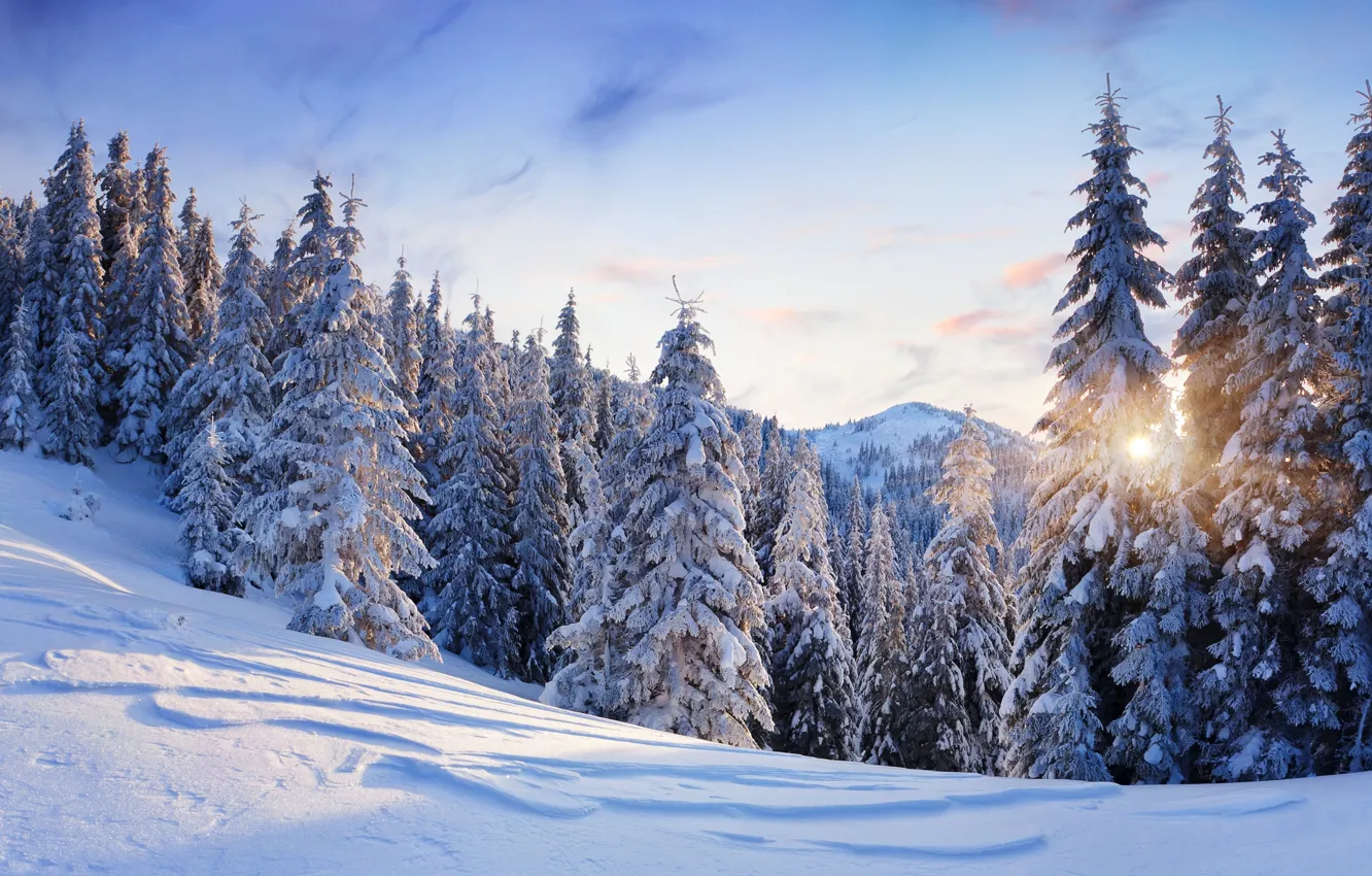 Photo wallpaper winter, the sky, the sun, snow, trees, landscape, mountains, nature