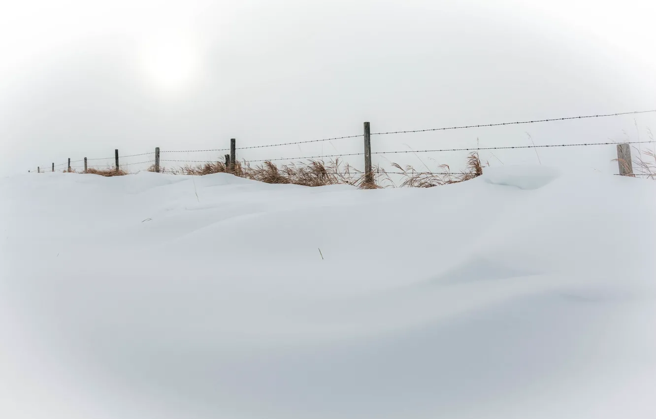 Photo wallpaper winter, snow, nature, the fence, minimalism