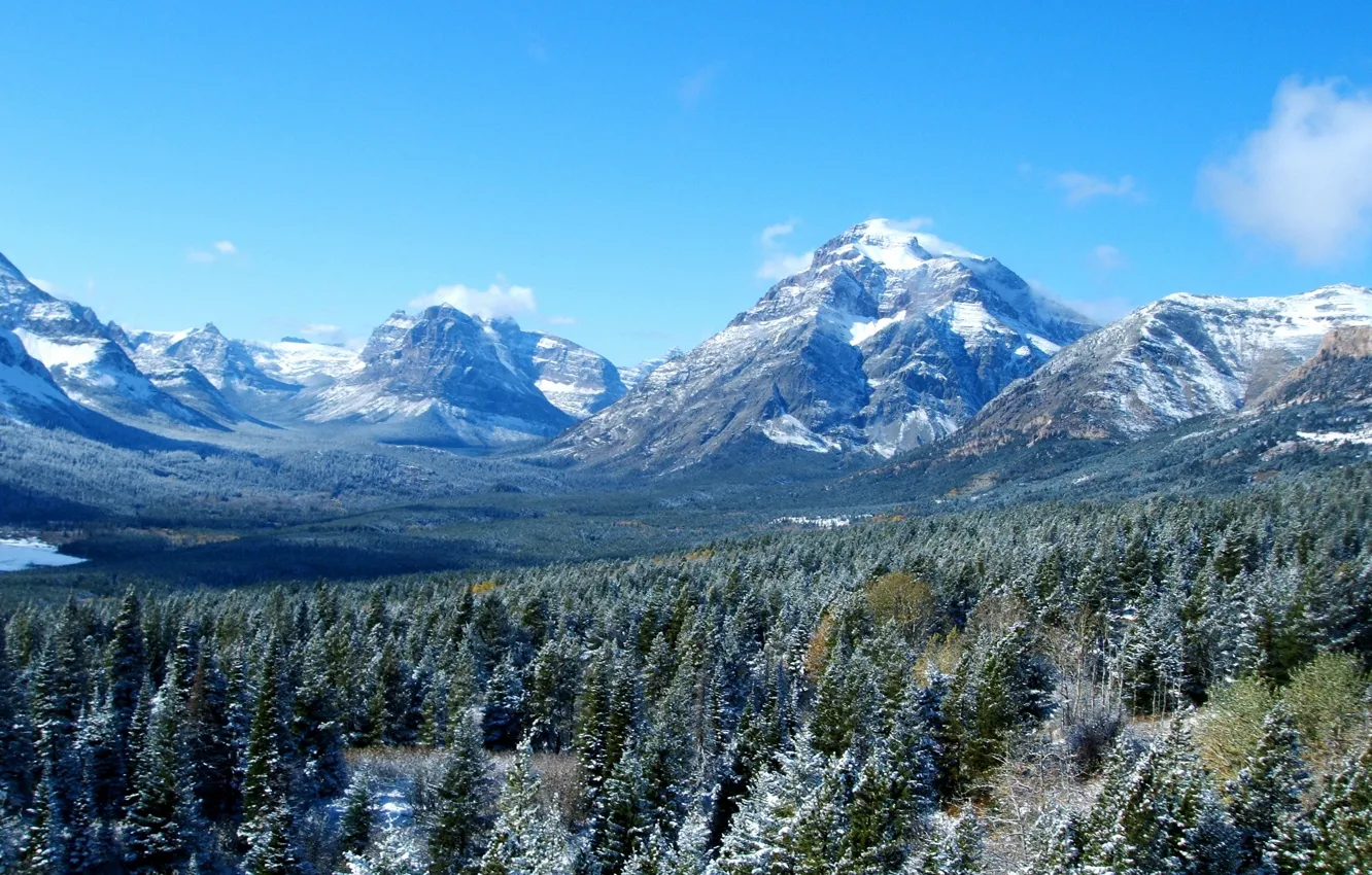 Photo wallpaper forest, the sky, landscape, mountains, nature, USA, Glacier, Montana