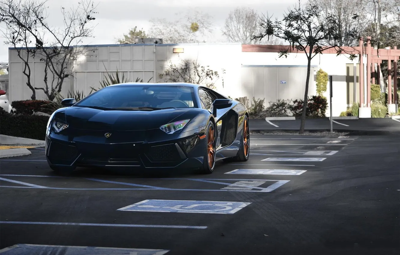 Photo wallpaper black, Lamborghini, Parking, black, the front, LP700-4, Aventador, Lamborghini