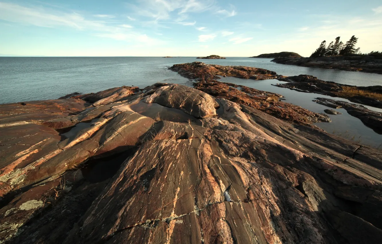 Photo wallpaper sea, the sky, trees, landscape, stones, photo, shore