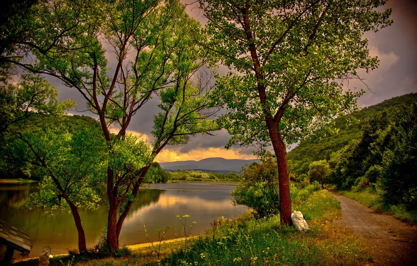 Photo wallpaper trees, landscape, nature, river, HDR, Hungary, Dedestapolcsany