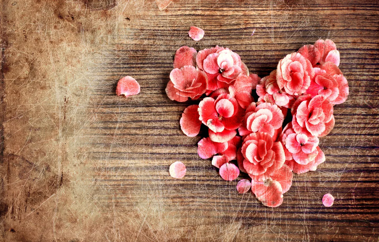 Photo wallpaper heart, petals, scratches, vintage