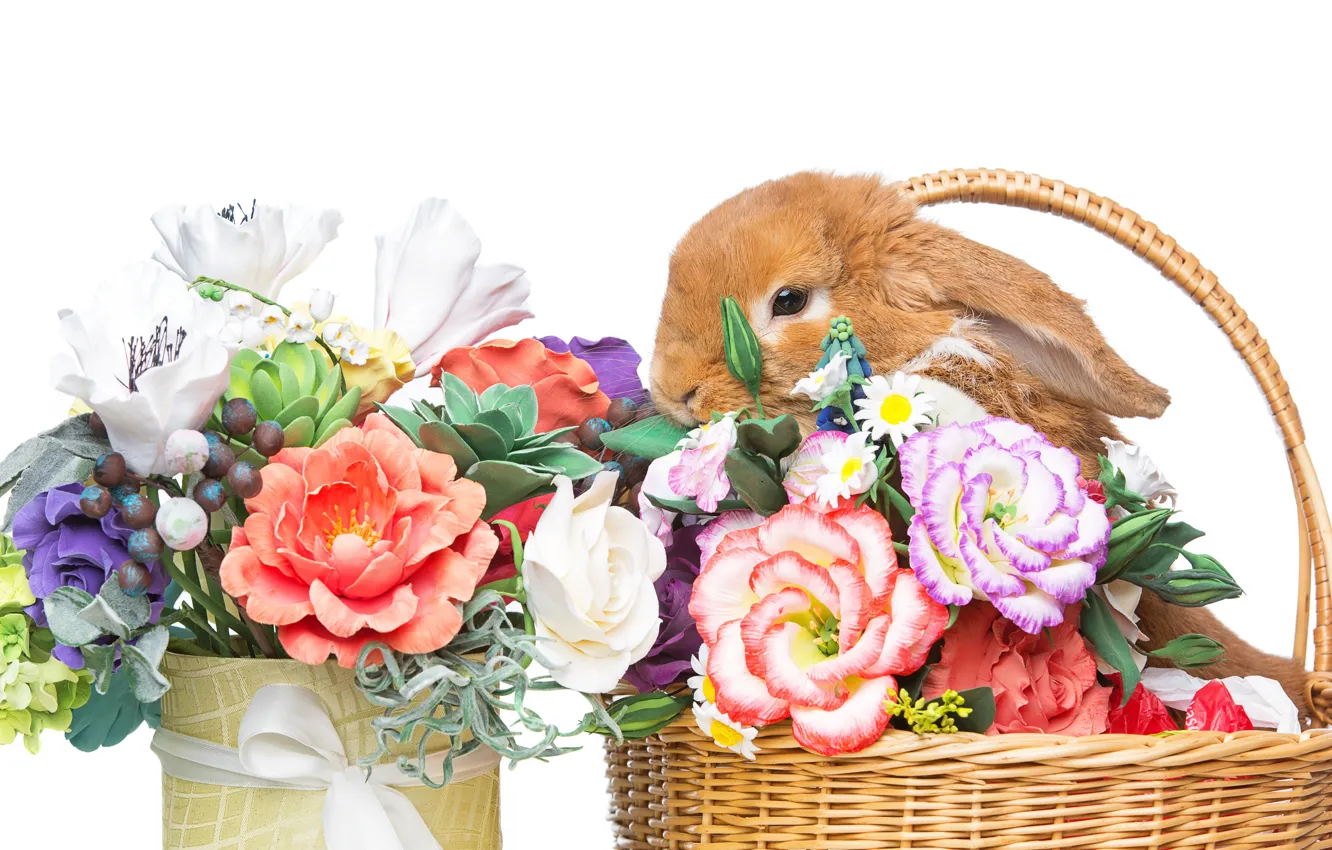 Photo wallpaper flowers, basket, rabbit, Easter, happy, rabbit, flowers, spring