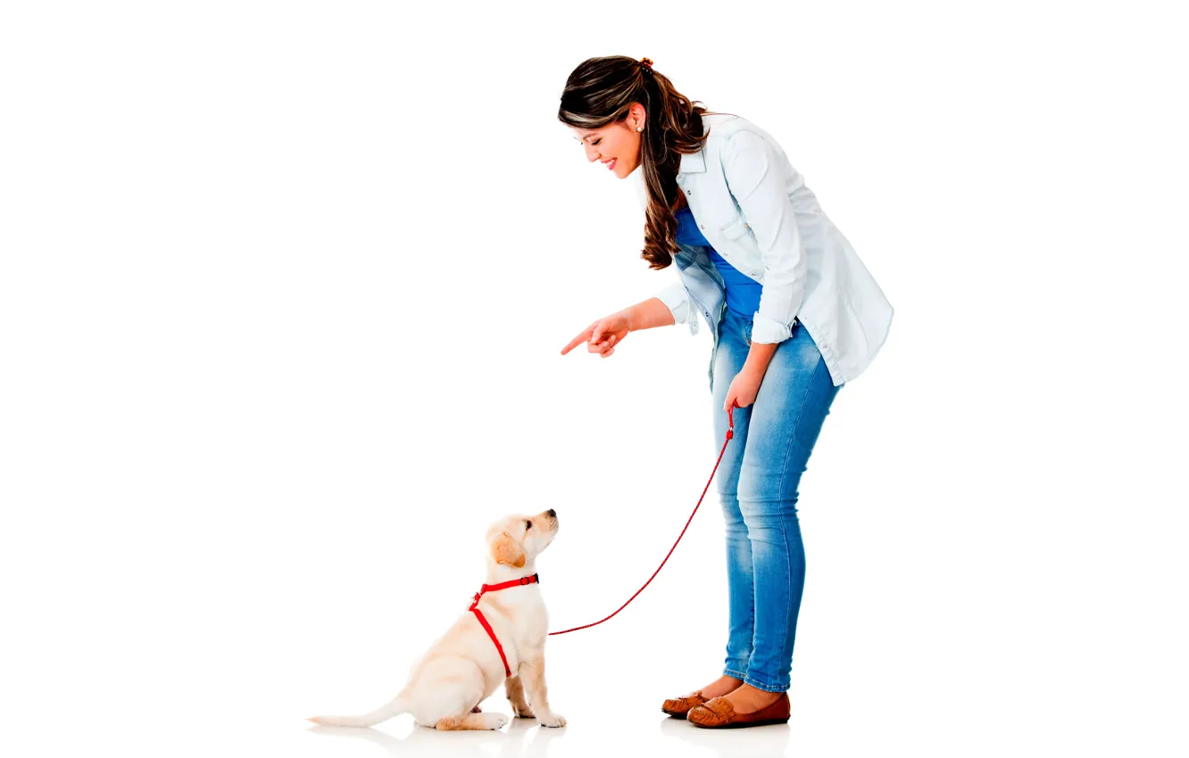 Photo wallpaper girl, smile, dog, jeans, makeup, hairstyle, puppy, white background