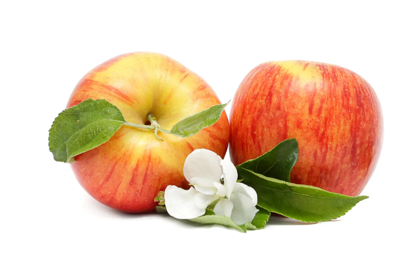 Photo wallpaper flowers, apples, fruit