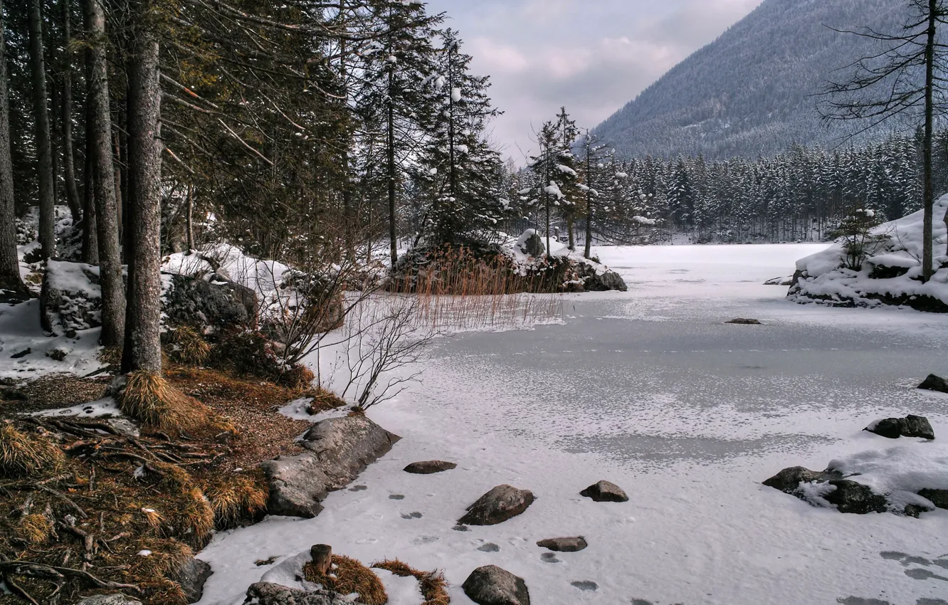 Photo wallpaper ice, winter, the sky, snow, trees, mountains, nature, lake