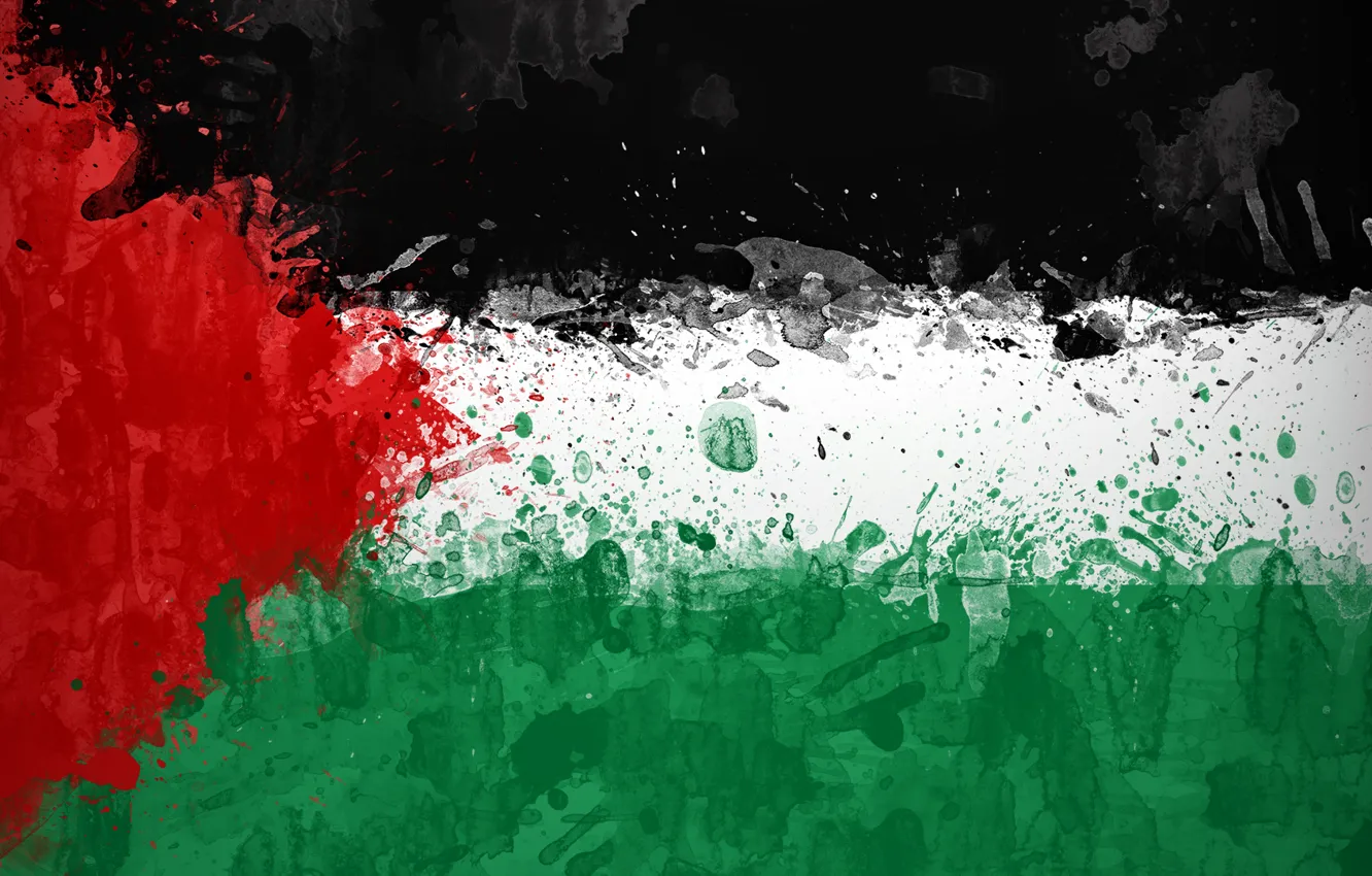 Photo wallpaper paint, flag, flag, Palestine, Palestine