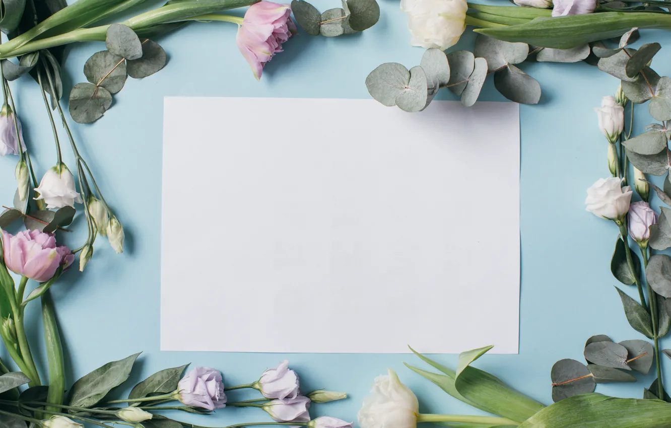 Photo wallpaper leaves, flowers, paper, background, tulips, eustoma