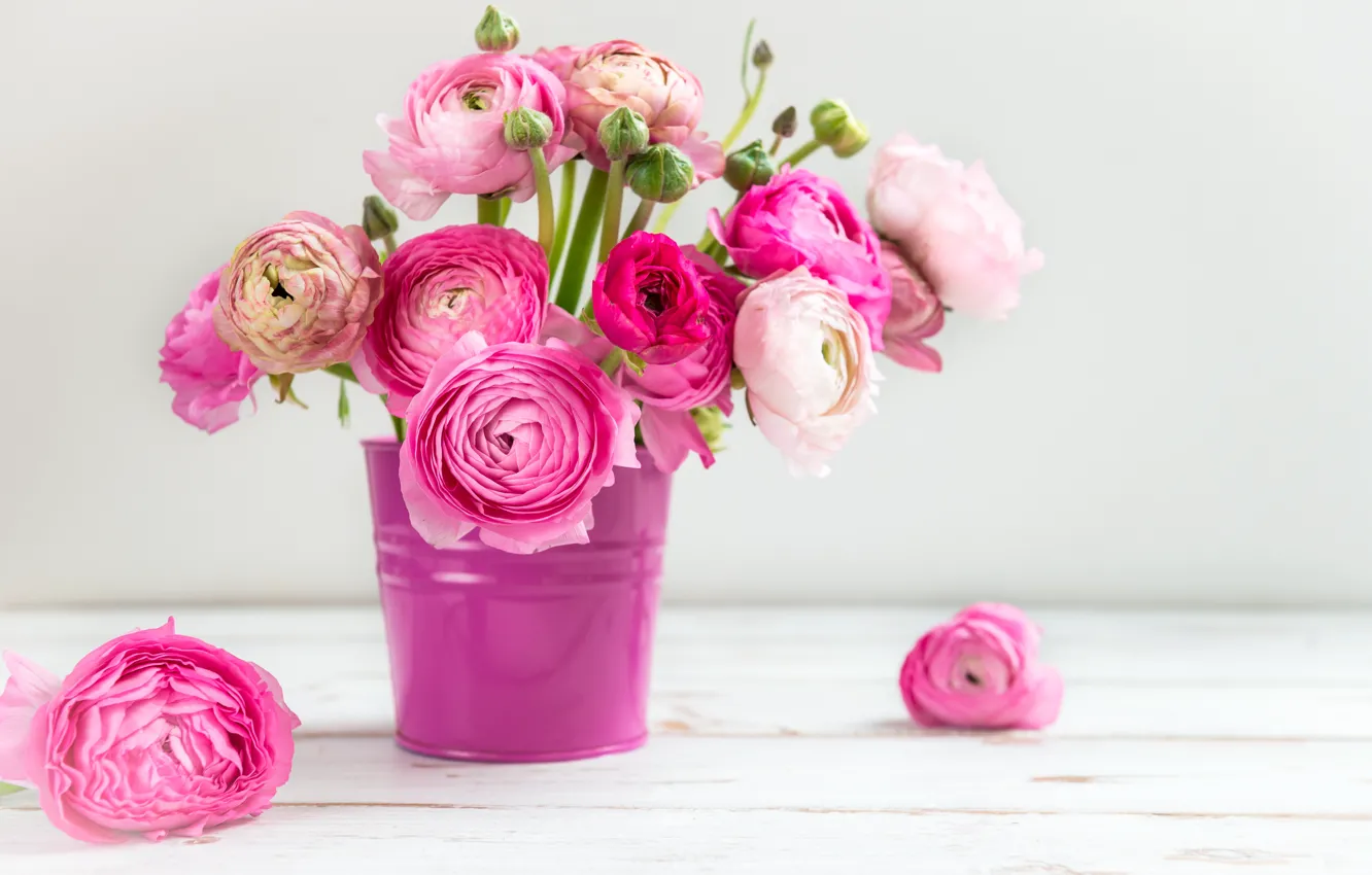 Photo wallpaper bouquet, pink, bucket, buttercups, Ranunculus
