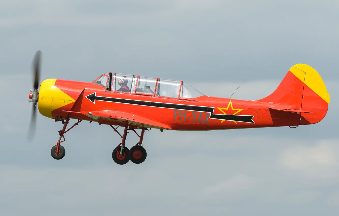 Photo wallpaper Yakovlev, The Yak-52, Yak-52, training aircraft