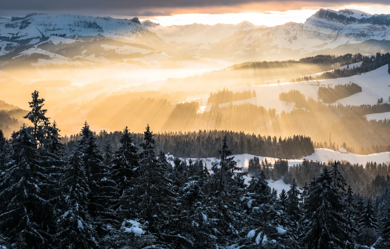 Photo wallpaper forest, the sky, rays, light, mountains, Winter, morning, Alps