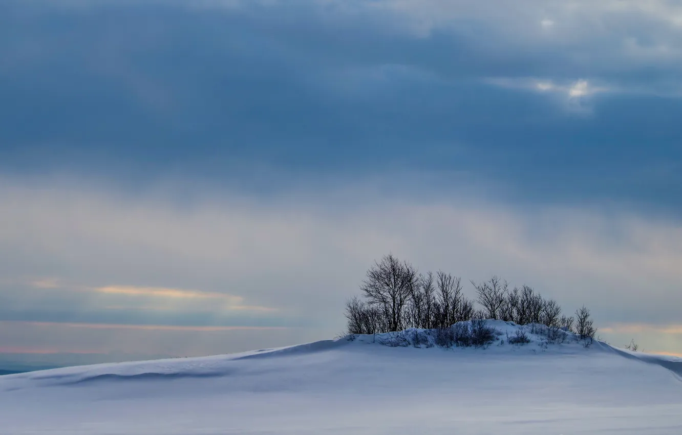 Photo wallpaper winter, field, the sky, landscape