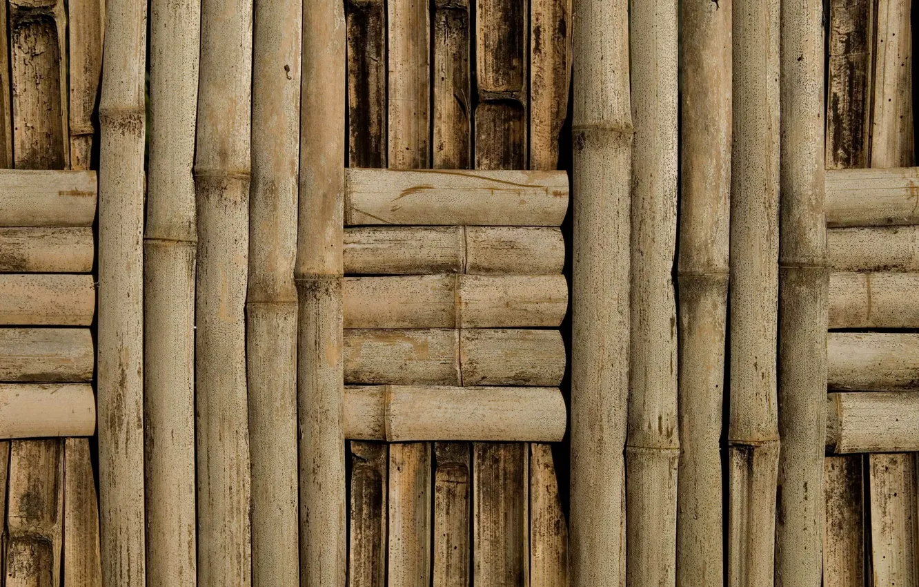 Photo wallpaper wall, bamboo, netting, texture