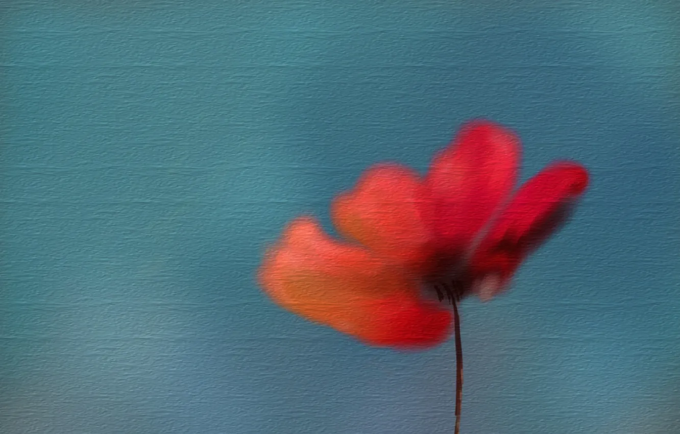 Photo wallpaper flowers, background, texture