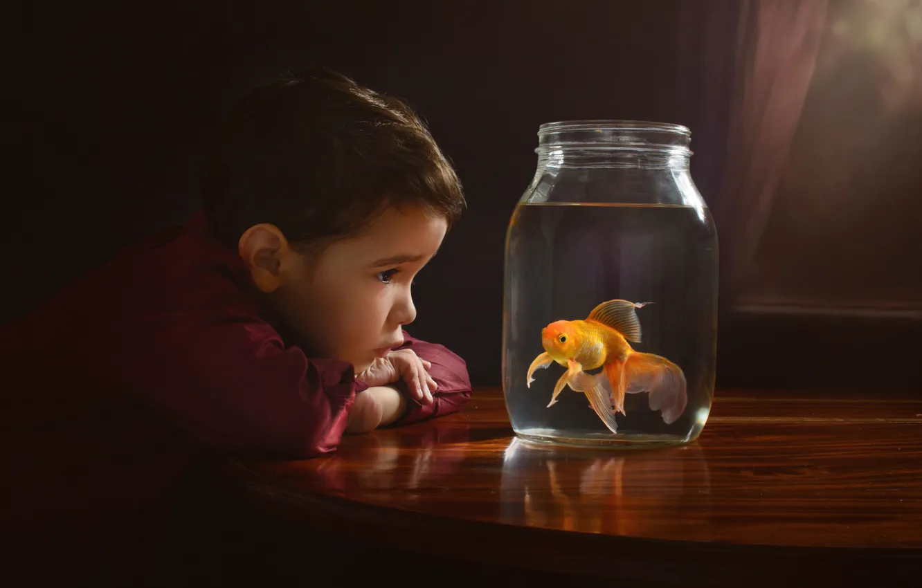 Photo wallpaper boy, goldfish, Bank
