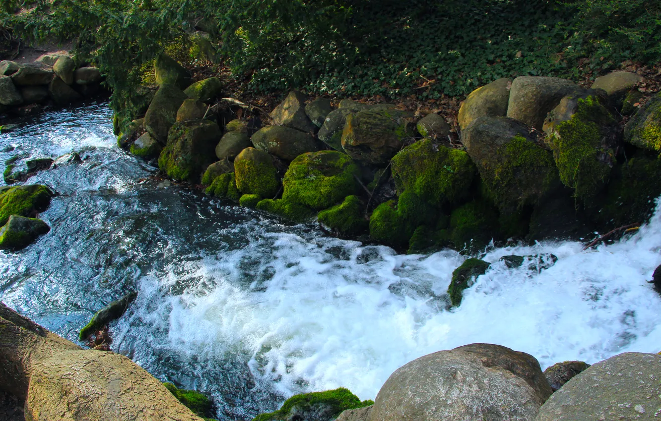 Photo wallpaper park, waterfall, plant