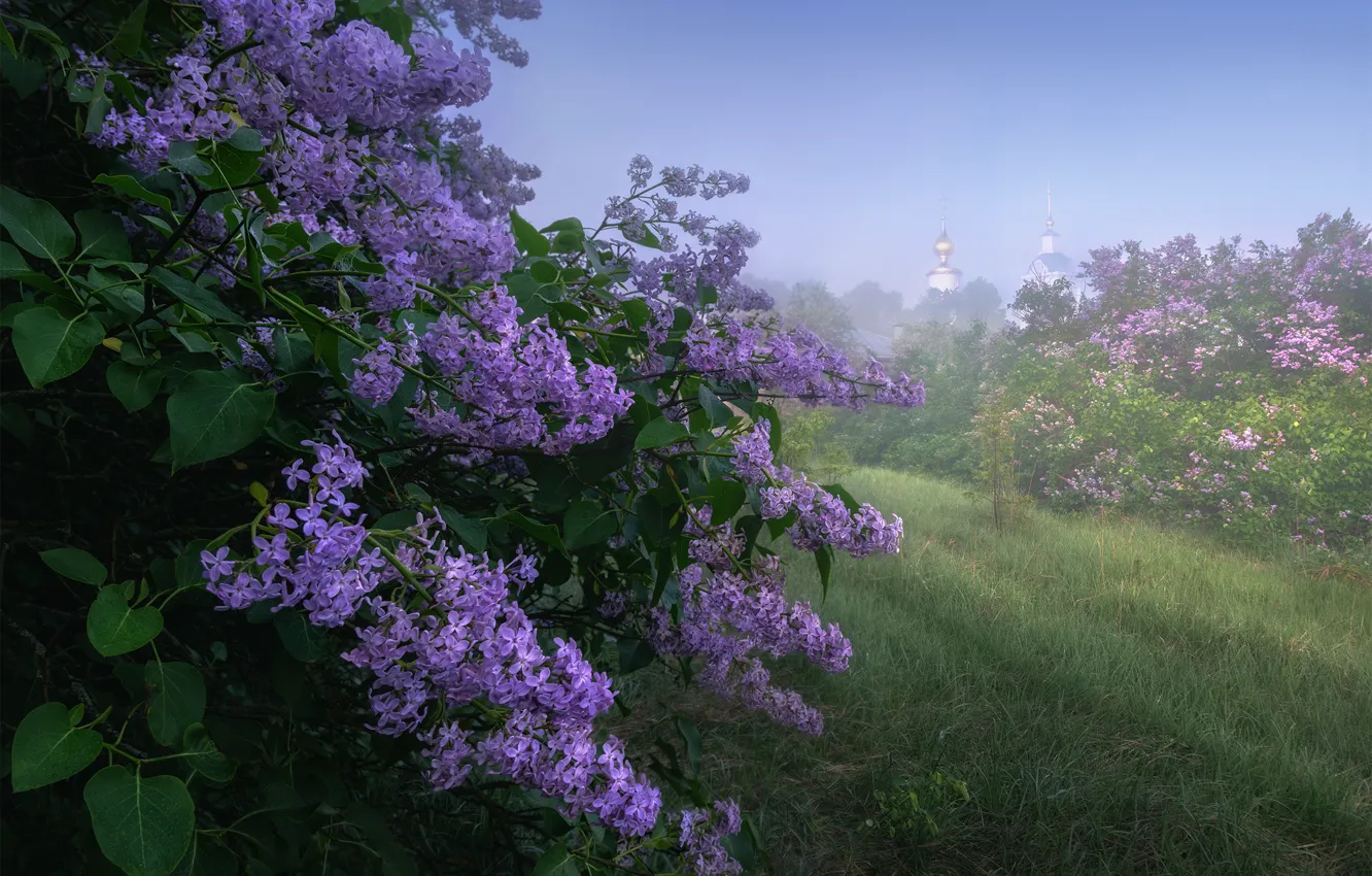 Photo wallpaper grass, landscape, nature, fog, Church, the bushes, lilac, Anna Politova
