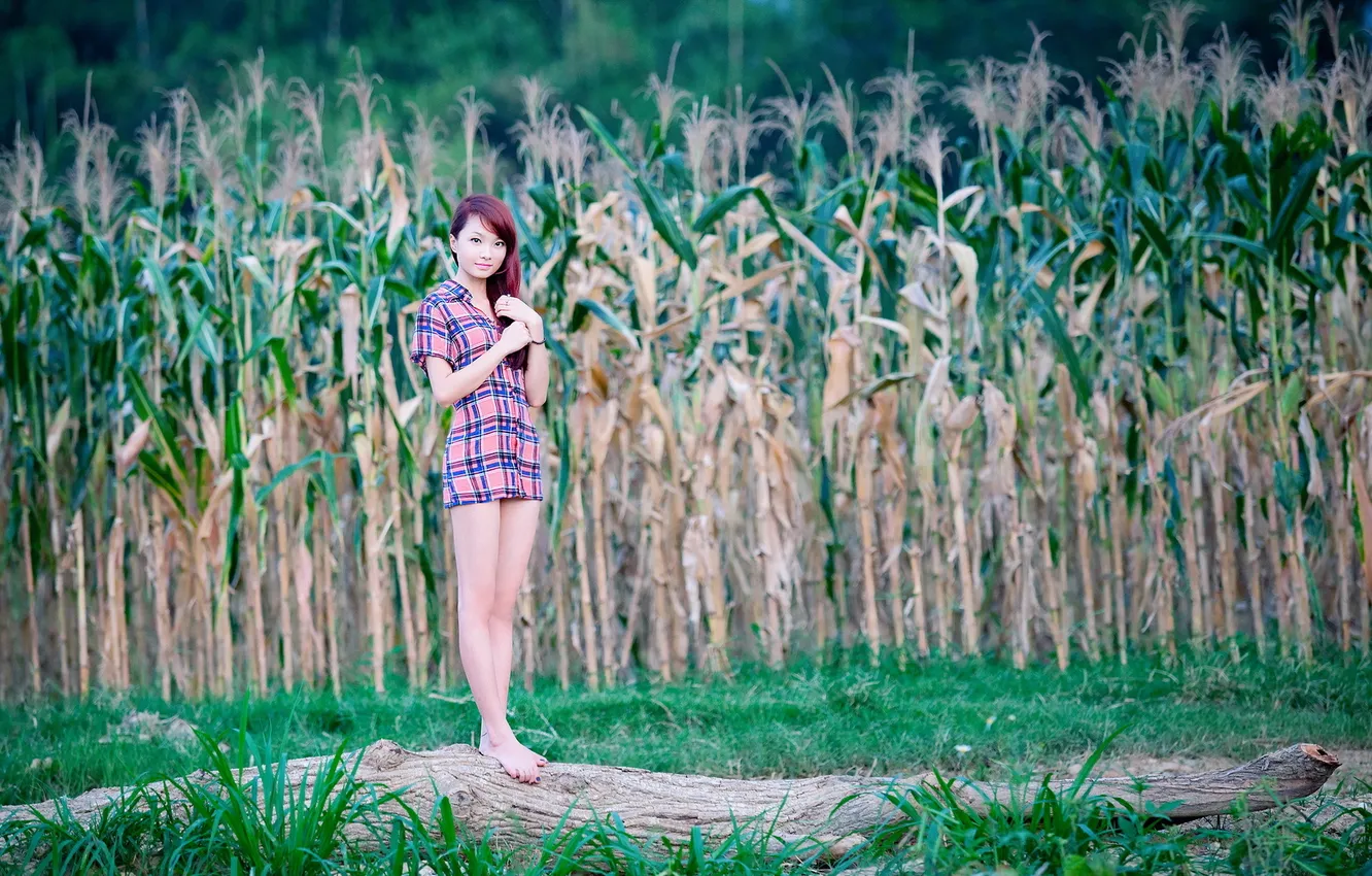 Photo wallpaper girl, corn, Asian
