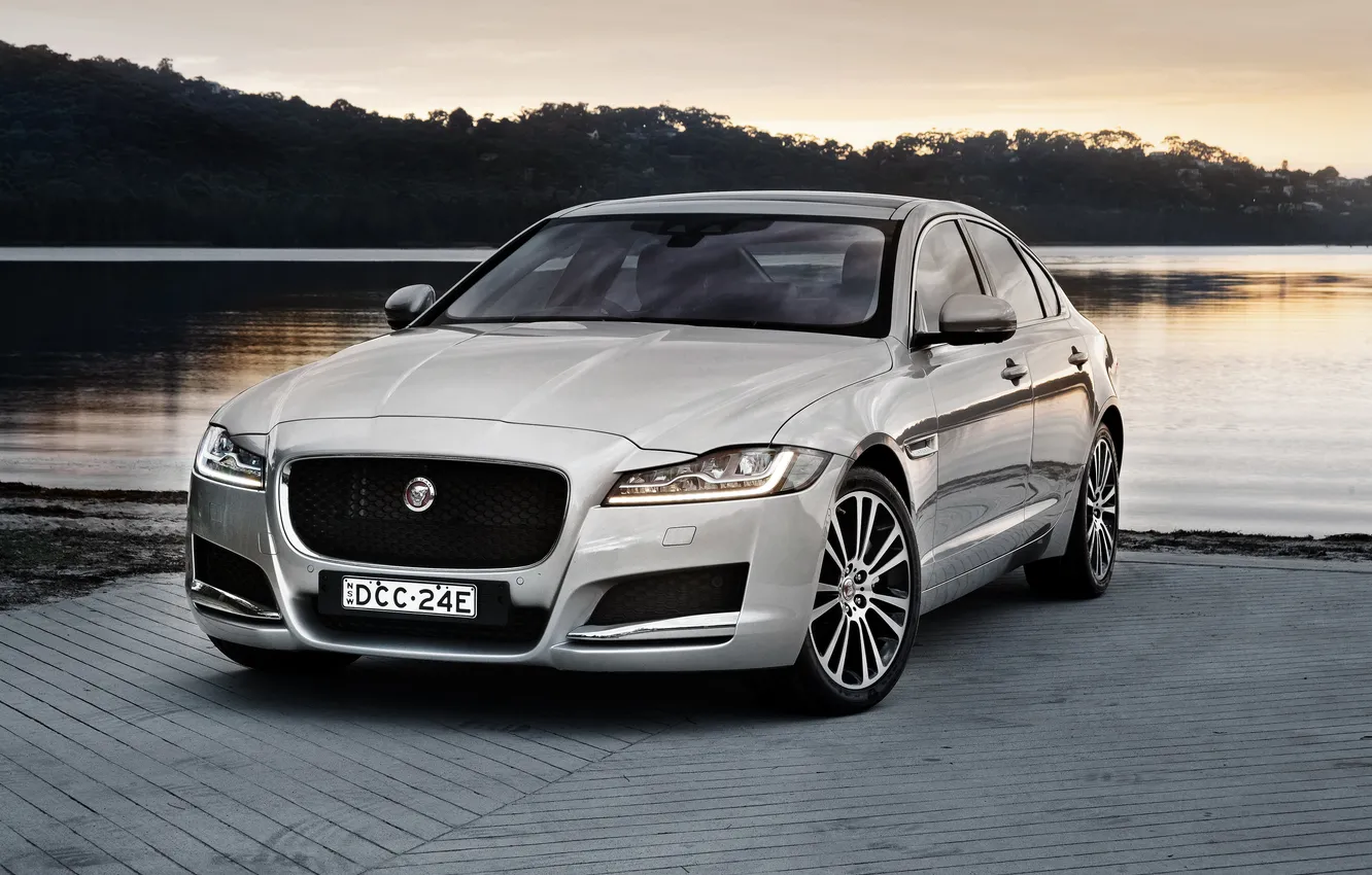 Photo wallpaper white, Jaguar, Jaguar