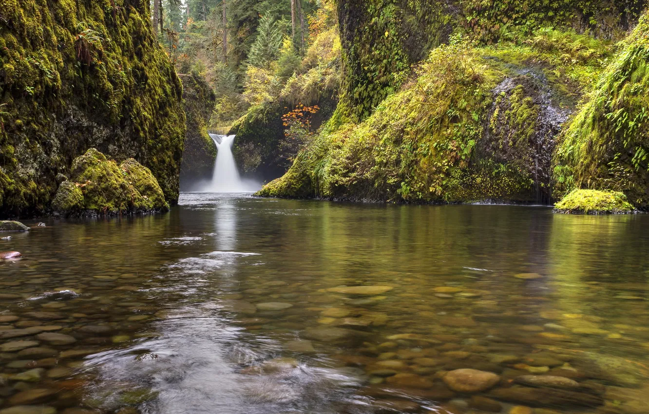 Photo wallpaper forest, nature, lake, waterfall