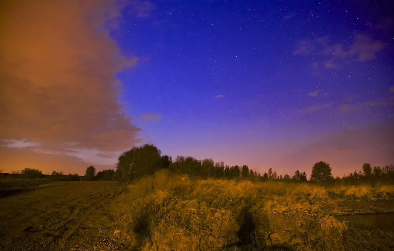 Photo wallpaper field, the sky, stars, clouds, light, trees, night