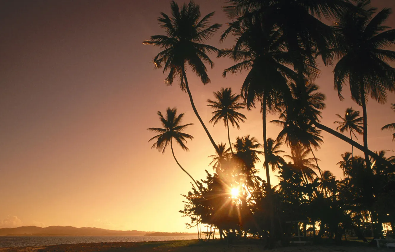 Photo wallpaper sea, the sky, the sun, landscape, sunset, palm trees, Nature, sky