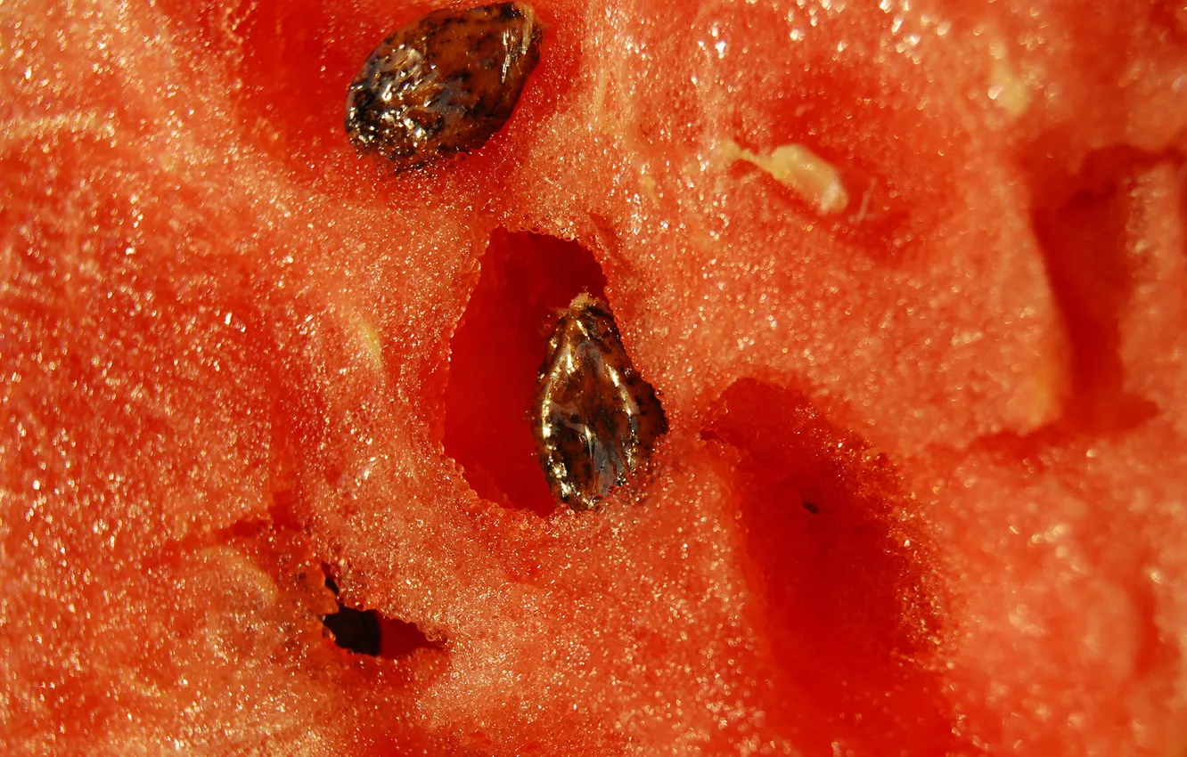 Photo wallpaper berries, watermelon, bone, juicy