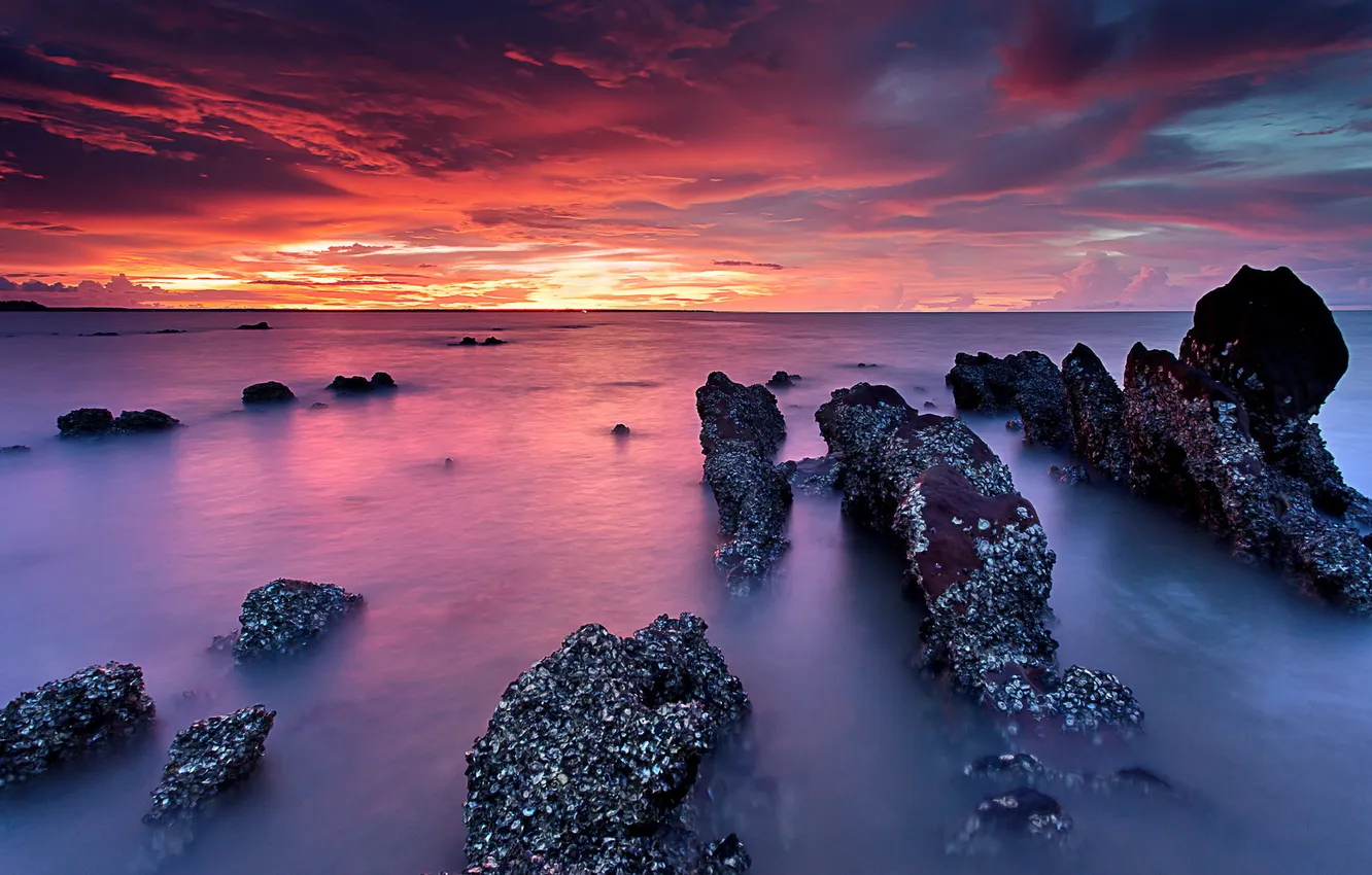 Photo wallpaper sea, the sky, landscape, sunset, nature, rocks