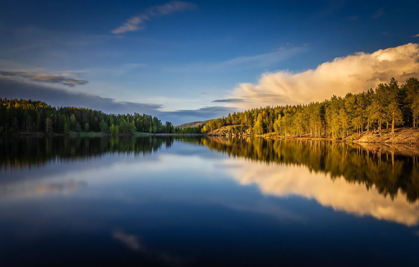 Photo wallpaper forest, lake, reflection, Norway, Norway, Berum, Bærum