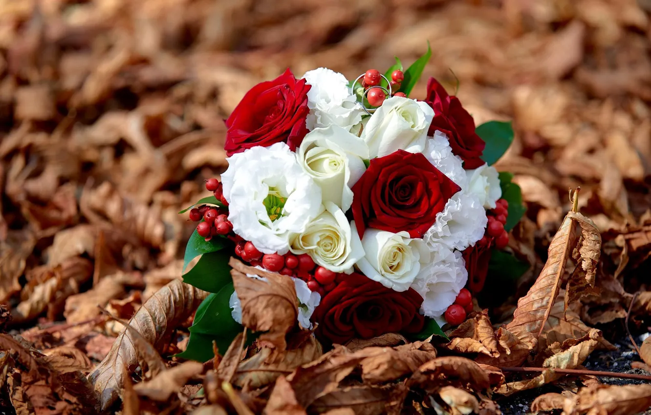 Photo wallpaper roses, bouquet, dry leaves