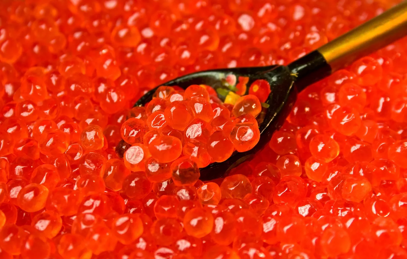 Photo wallpaper spoon, red, caviar, granular, salmon