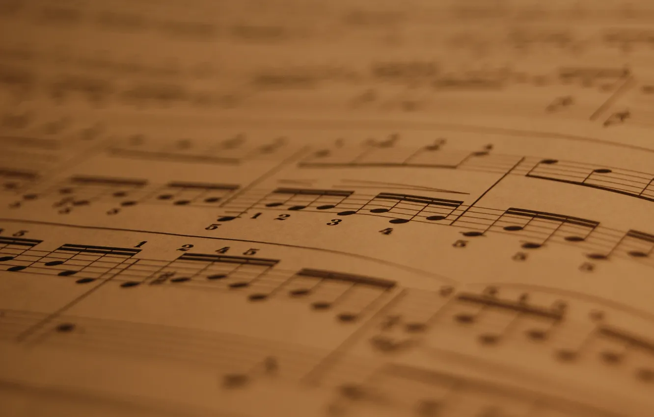 Photo wallpaper paper, fingering, macro notes