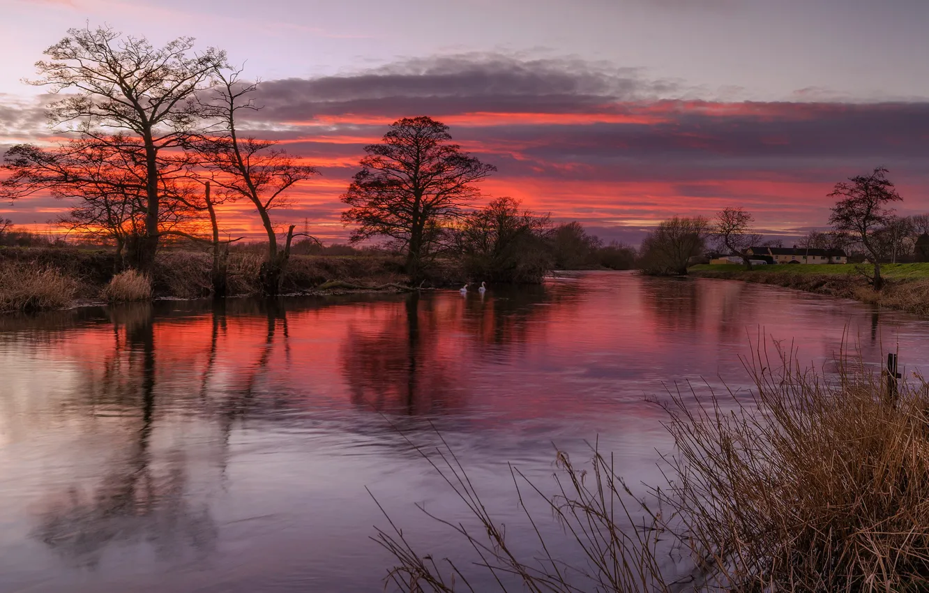 Photo wallpaper clouds, trees, river, the evening, glow