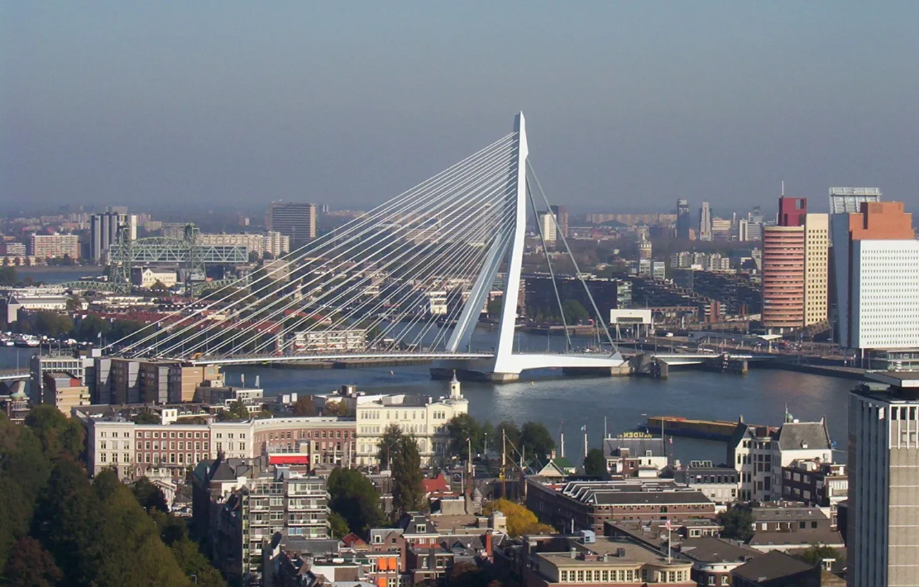 Photo wallpaper city, Rotterdam, the-netherlands