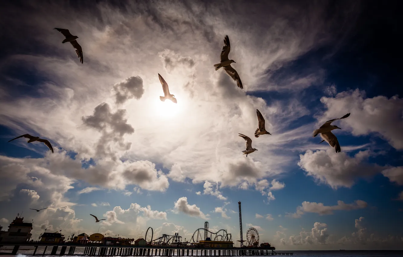 Photo wallpaper the sky, landscape, clouds, nature, bird, seagulls, pierce, amusement