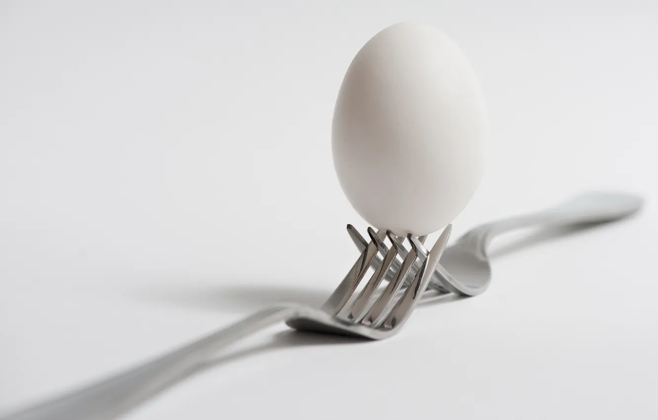 Photo wallpaper background, plug, egg